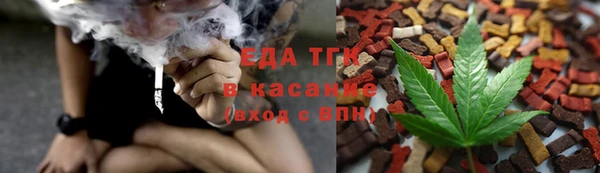 индика Балабаново