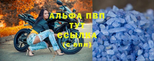 индика Балабаново