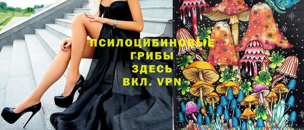 индика Балабаново